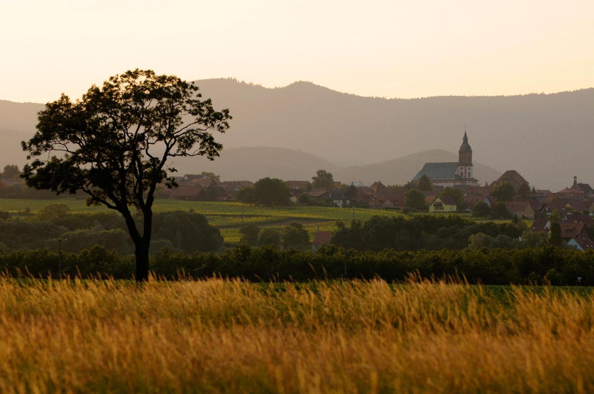 Gite Jeanne Familial - Calme - Parking Ebersheim Екстериор снимка