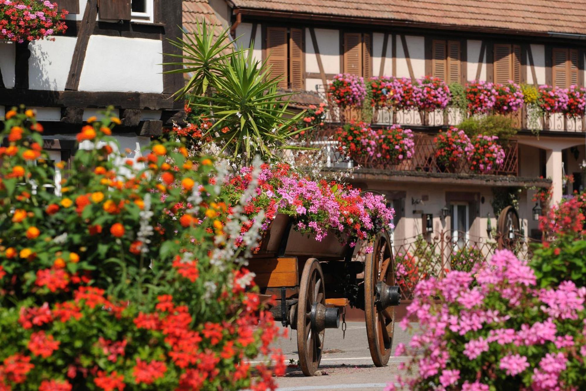 Gite Jeanne Familial - Calme - Parking Ebersheim Екстериор снимка